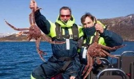 记者爆料帝王蟹视频播放,海洋珍馐的奢华诱惑