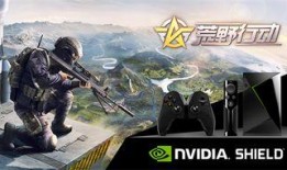 荒野行动最新爆料殿堂视频,殿堂视频揭秘神秘内容